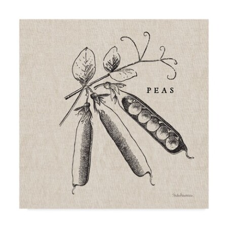 Trademark Fine Art Studio Mousseau 'Burlap Vegetable Bw Sketch Peas' Canvas Art, 18x18 WAP07742-C1818GG